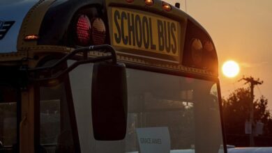 27 Children, Bus Driver Injured In School Bus Crash Near Tisdale, Sask.