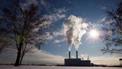 After Earlier Carbon Price Error, New Pbo Report Confirms Earlier Findings