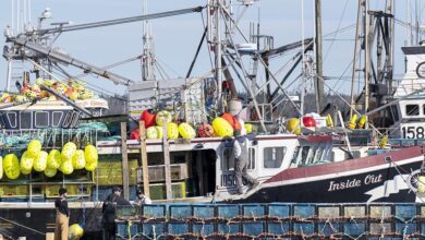 Dfo In Maritimes Concerned About ‘pattern’ Of Violence, Threats Faced By Officers