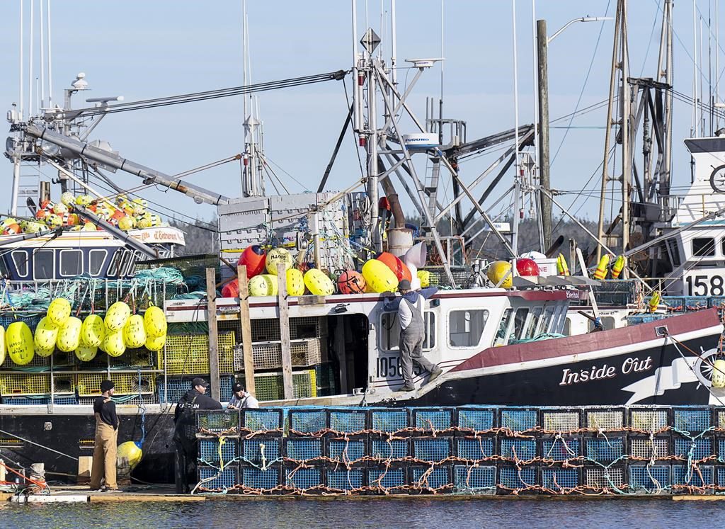 Dfo In Maritimes Concerned About ‘pattern’ Of Violence, Threats Faced By Officers