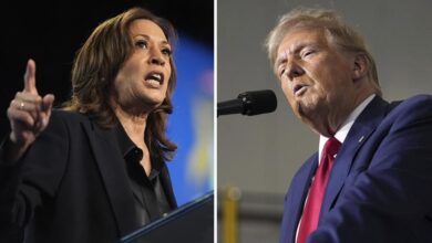 U.s. Election: How To Watch And What To Know About Harris Trump Race