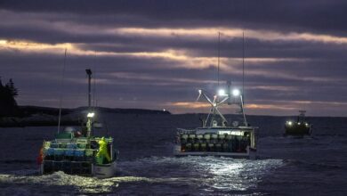 Dfo Ordered To Improve Officer Gear To Counter Threat From ‘criminals’ With Firearms