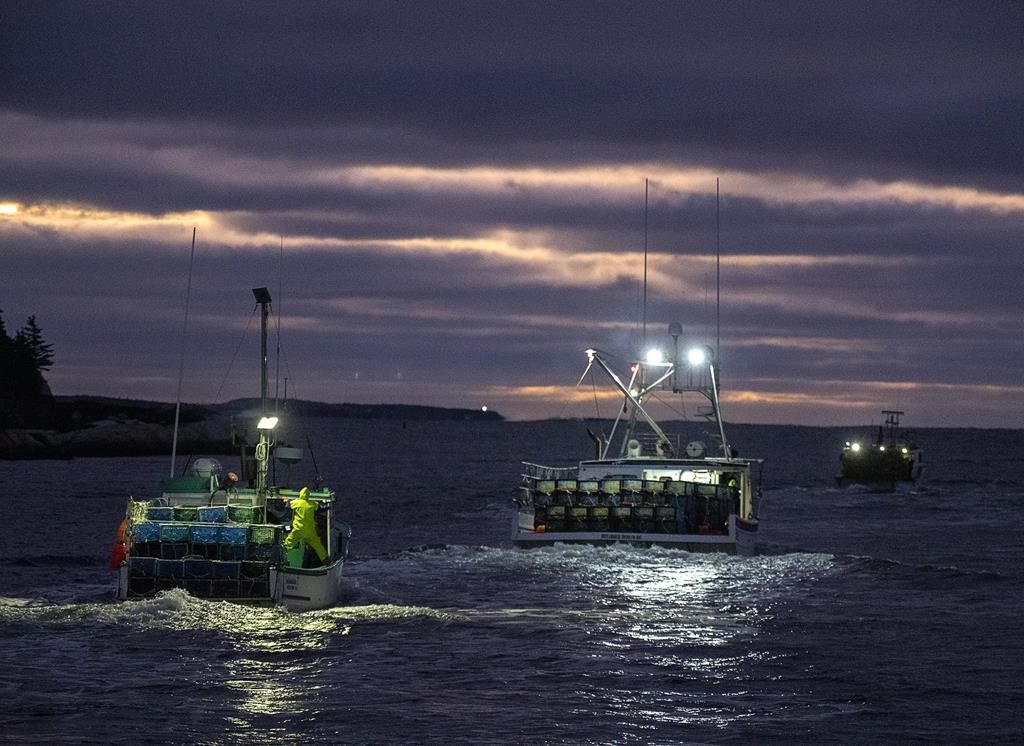 Dfo Ordered To Improve Officer Gear To Counter Threat From ‘criminals’ With Firearms