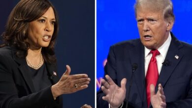 U.s. Election: What Would Harris, Trump Economic Plans Mean For Canada?