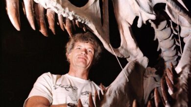 Famed Dino Hunter Reflects On The History Of Paleontology: ‘our Story Is Incomplete’