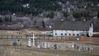 At Least 55 Children Died Or Disappeared At Residential School Near Williams Lake, B.c.: Report