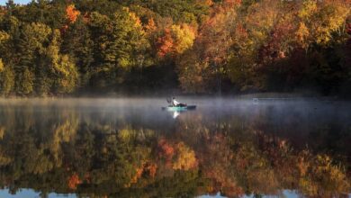 Duller Fall Colours In Ontario After Warmer Than Normal Temperatures