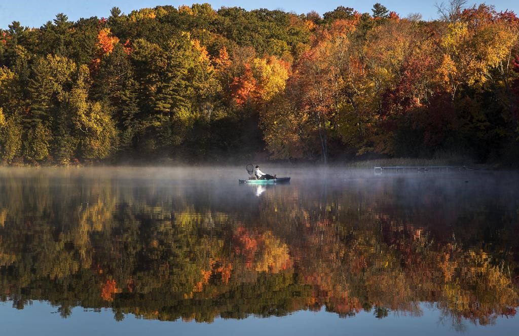 Duller Fall Colours In Ontario After Warmer Than Normal Temperatures
