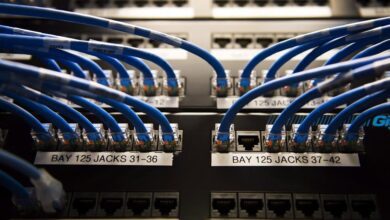 Iranian Hackers Target Critical Sectors With ‘brute Force,’ U.s., Canada Say