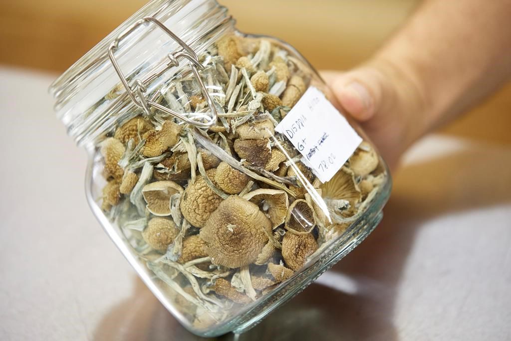 Quebec Religion Wants Health Canada’s Blessing To Use Magic Mushrooms In Ceremonies