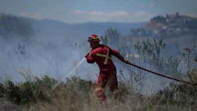 Petition Calls For Urgent Federal Action To Support Wildfire Fighters