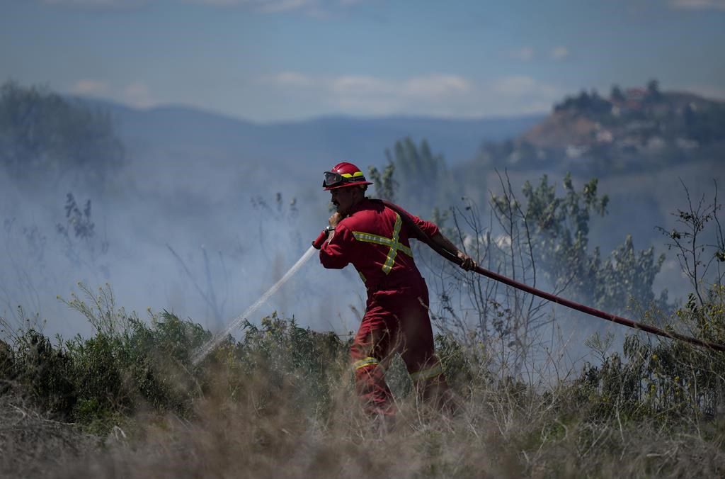 Petition Calls For Urgent Federal Action To Support Wildfire Fighters