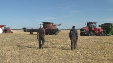 ‘dad Would Be Very Proud’: Saskatchewan Farm To Pass Down To 3rd Generation