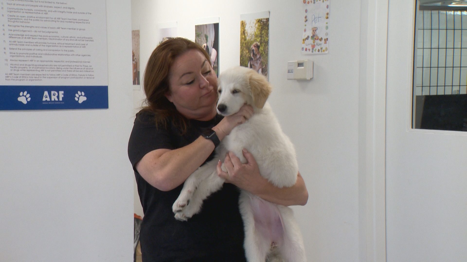 Calgary Pet Rescue Concerned By Rate Of Animal Abandonment Across The Province