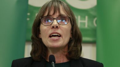 B.c. Election: Furstenau Loses Riding But Greens Leading In 2 Seats