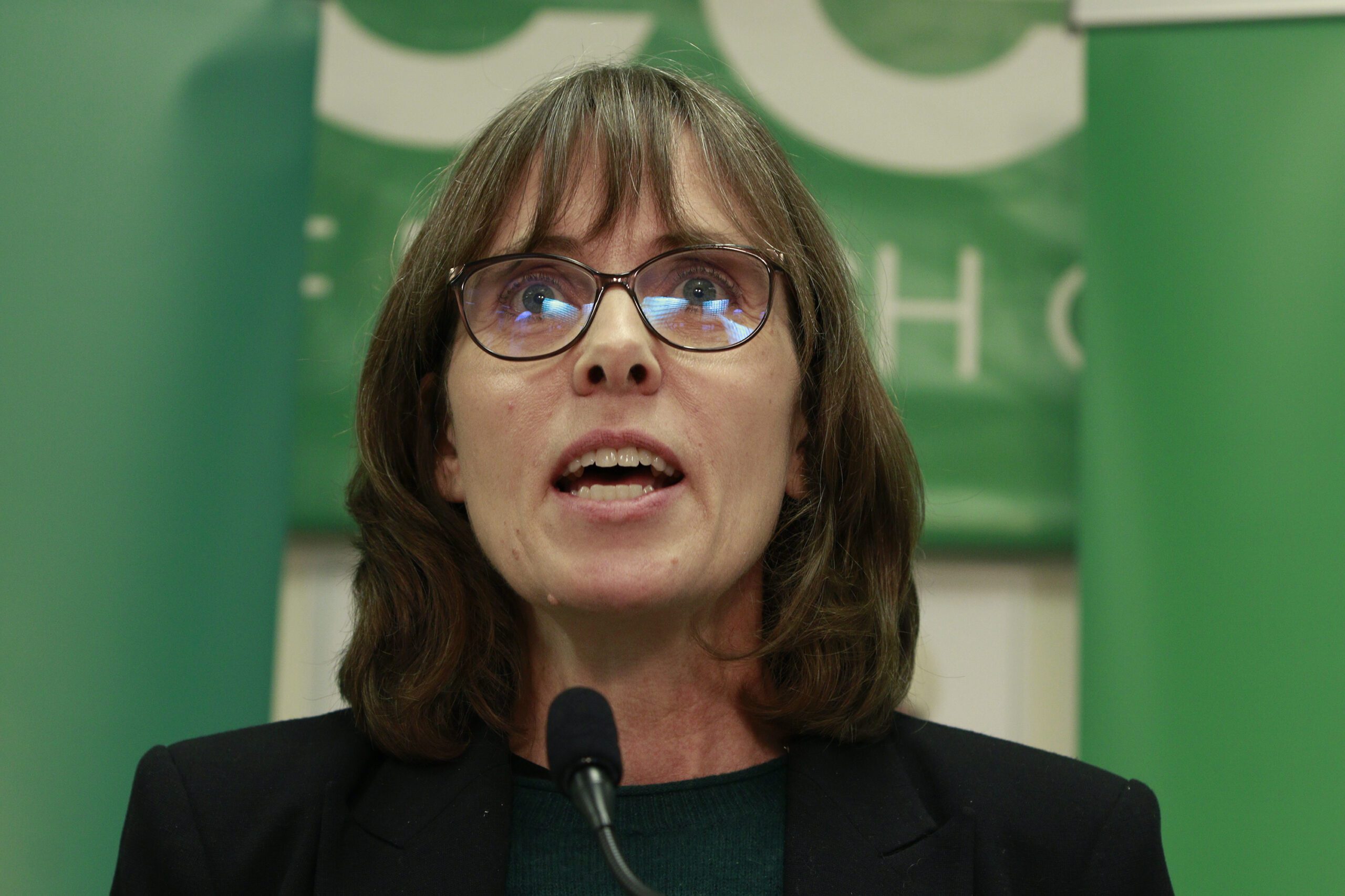 B.c. Election: Furstenau Loses Riding But Greens Leading In 2 Seats