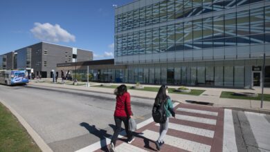 Cap Hammers International Student Enrolment As Ontario Colleges Brace For More Changes