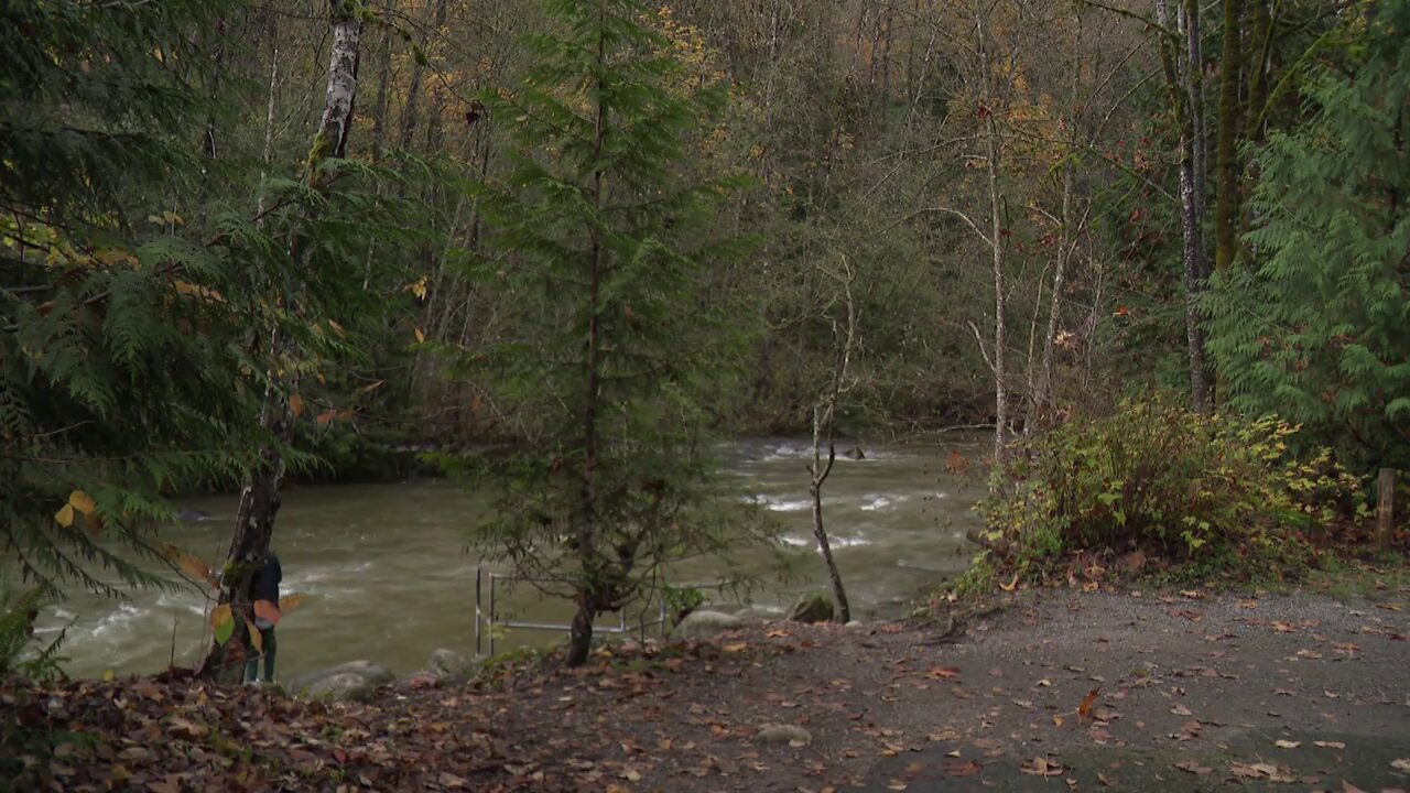 Search Crews Called To Coquitlam River Banks As 59 Year Old Missing