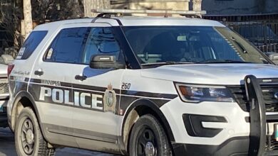 Pellet Gun Fired At Winnipeg High School, Police Investigating