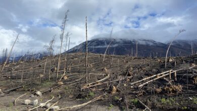 Maligne Road To Reopen After Wildfire In Jasper National Park