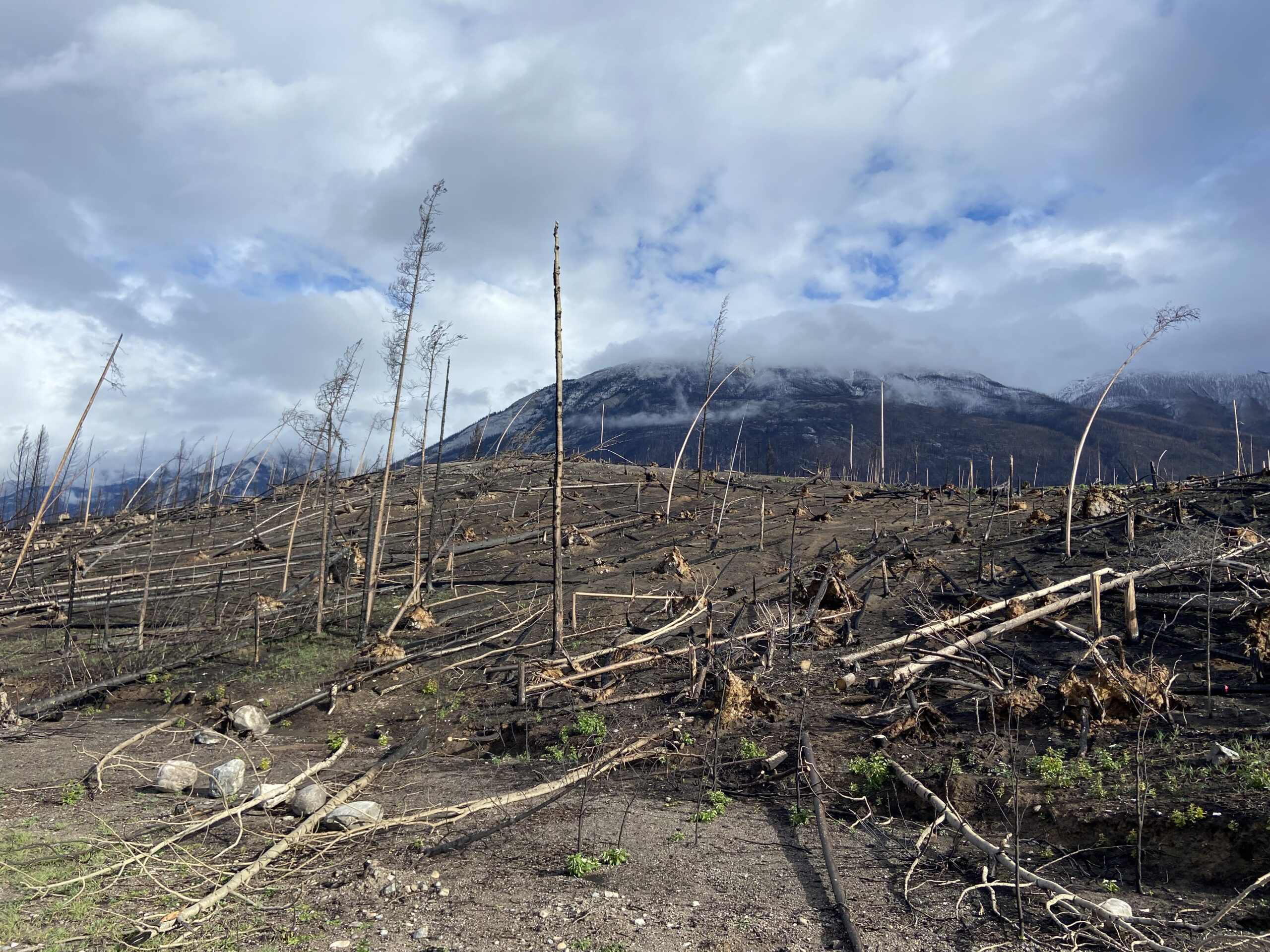 Maligne Road To Reopen After Wildfire In Jasper National Park