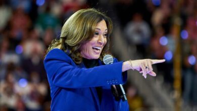 Dave Portnoy Pours Cold Water On Vp Harris' Tax Plan To Fund Economic Proposals: 'no Sauce Behind It'