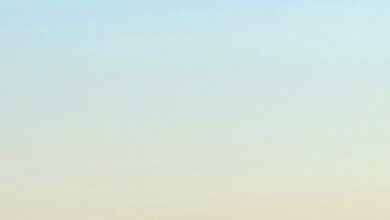 Your Saskatchewan Photo Of The Day: October 2024