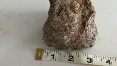 ‘could Have Been Fatal’: Large Rock Lands On Halifax Man’s Driveway From Blasting