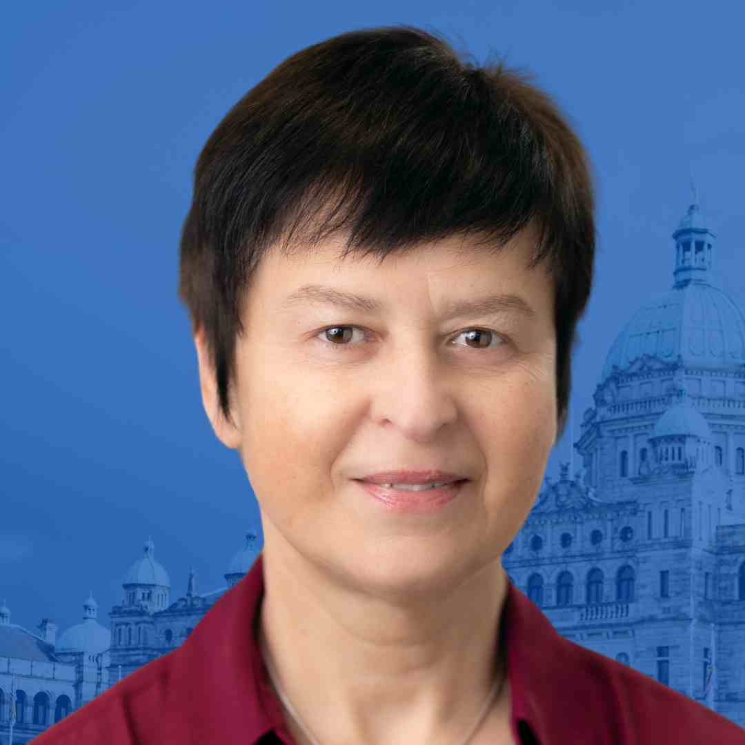 ‘false And Misleading’: Indigenous Group Says Bc Conservative Candidate Must Be Removed