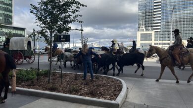 In Photos: Downtown Cattle Drive Event Kicks Off Canadian Finals Rodeo’s Return To Edmonton