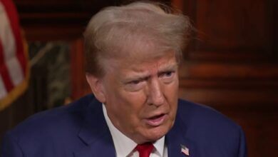 Donald Trump Decries Country Being 'poisoned' By Illegal Immigration As Hurricane Helene Victims Suffer