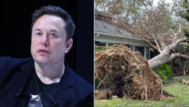 Elon Musk Slams Fema Over Helene Response In North Carolina As Spacex Looks To Set Up New Starlinks
