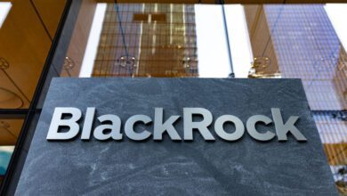 Blackrock Ceo Larry Fink Flaunts Firm's Behemoth Status