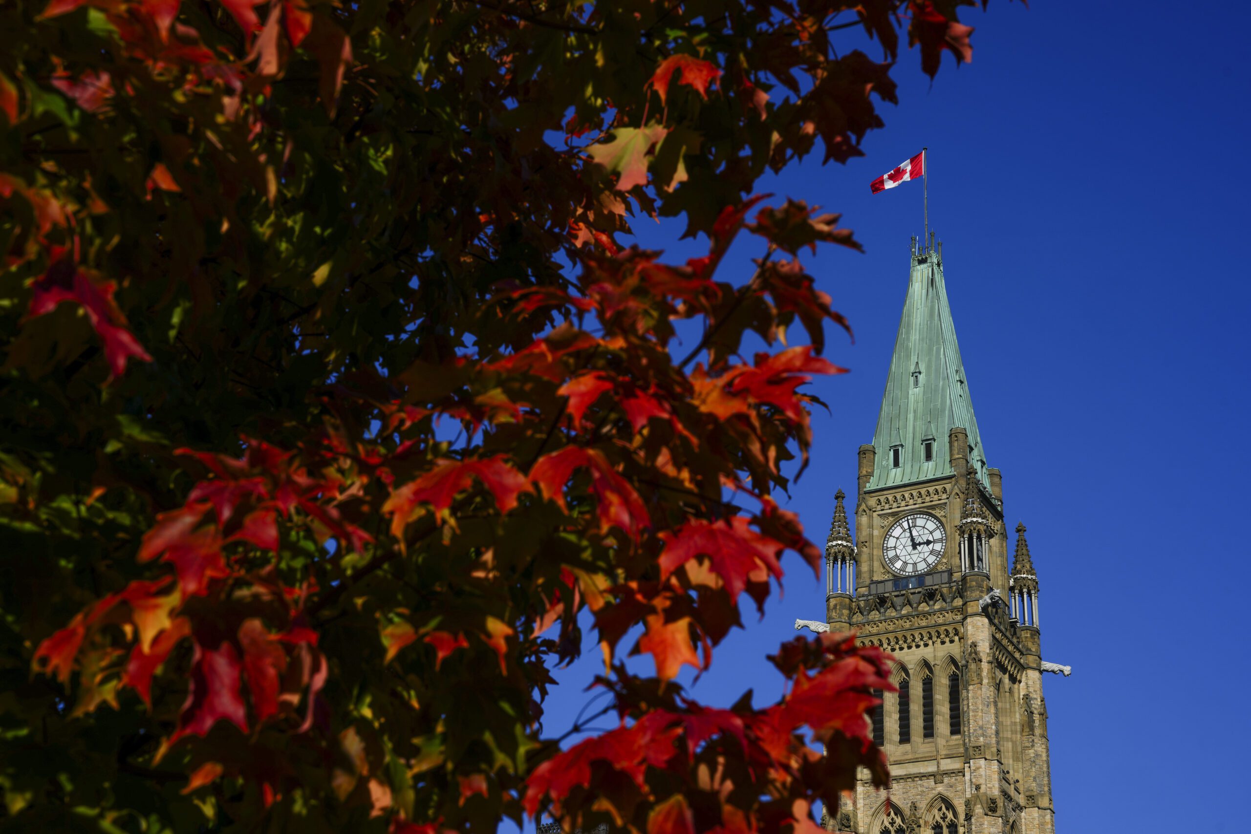 Liberals Set To Announce Immigration System Changes, Sources Say