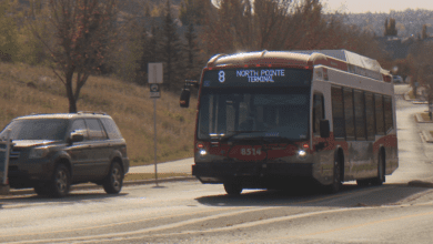 New Transit Snow Route Gets Cold Response In Northwest Calgary Community