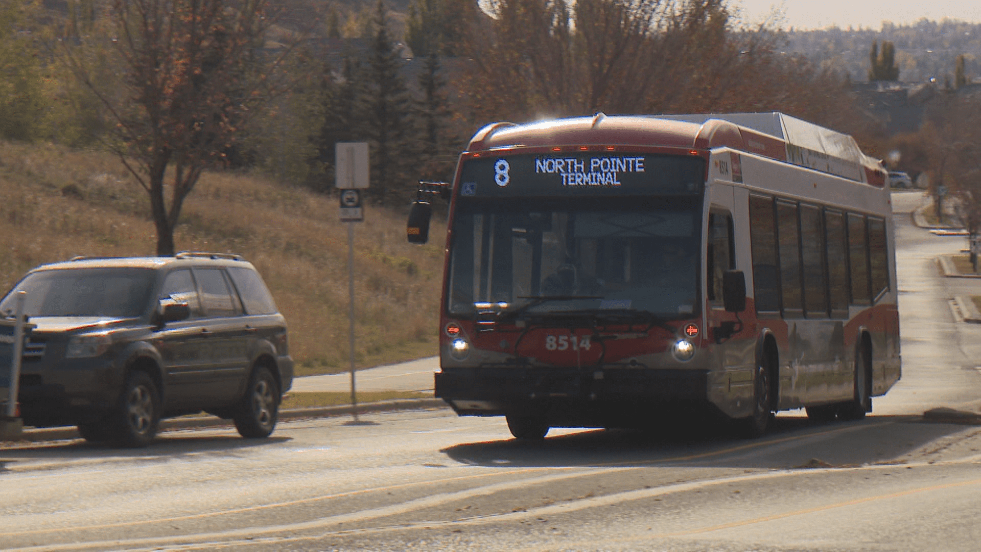New Transit Snow Route Gets Cold Response In Northwest Calgary Community