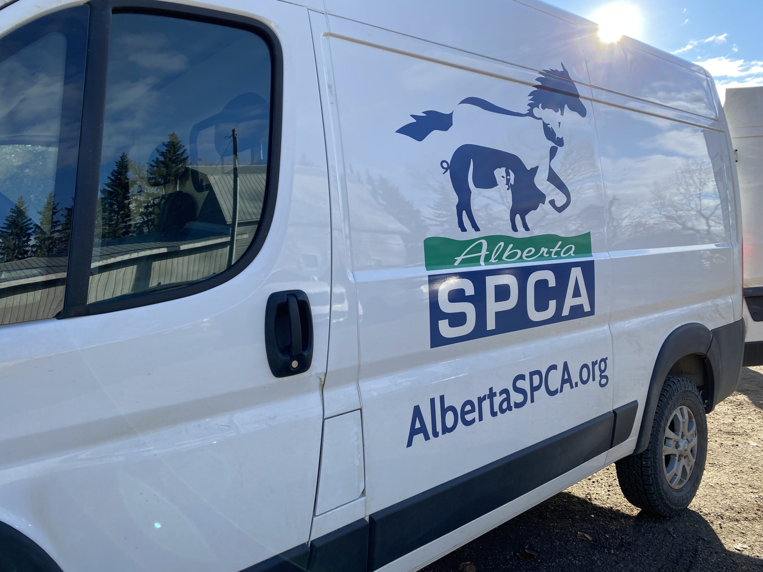 Alberta Spca Animal Care Costs Reach $1m In 2024