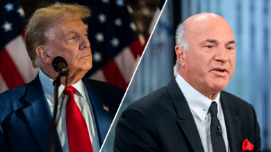 Trump Knows ‘how The American Economy Was Successful Over 200 Years,’ Kevin O'leary Says