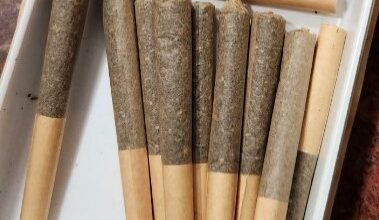 Pre Rolled Joints Found In Kids Halloween Treats In Nova Scotia, Police Say