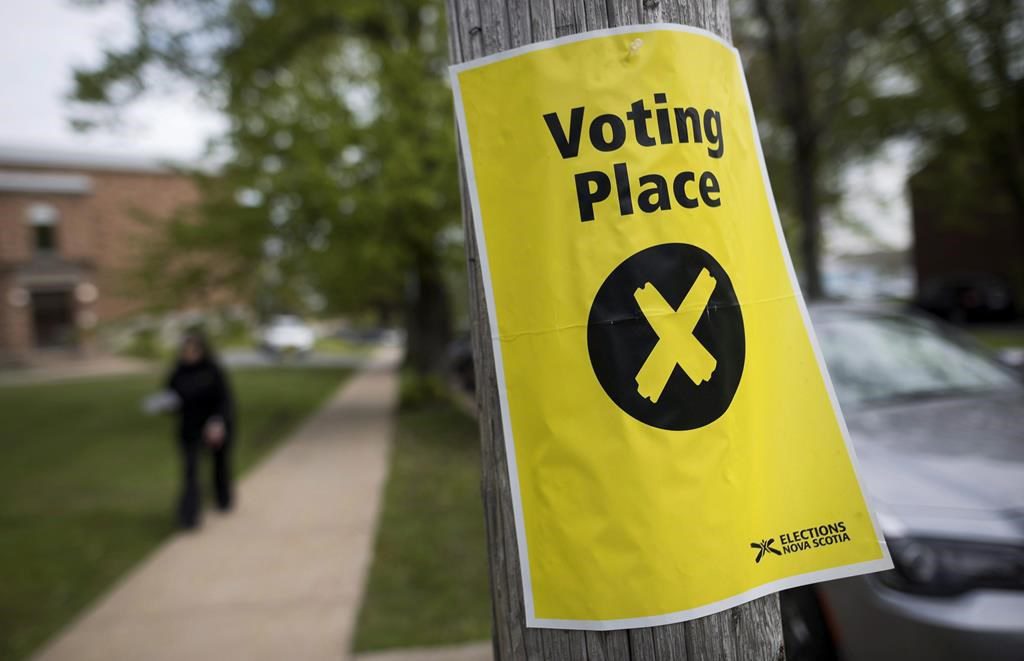 Why So Many Elections In 2024? Chalk It Up To The ‘beauty Of Math,’ Says Professor