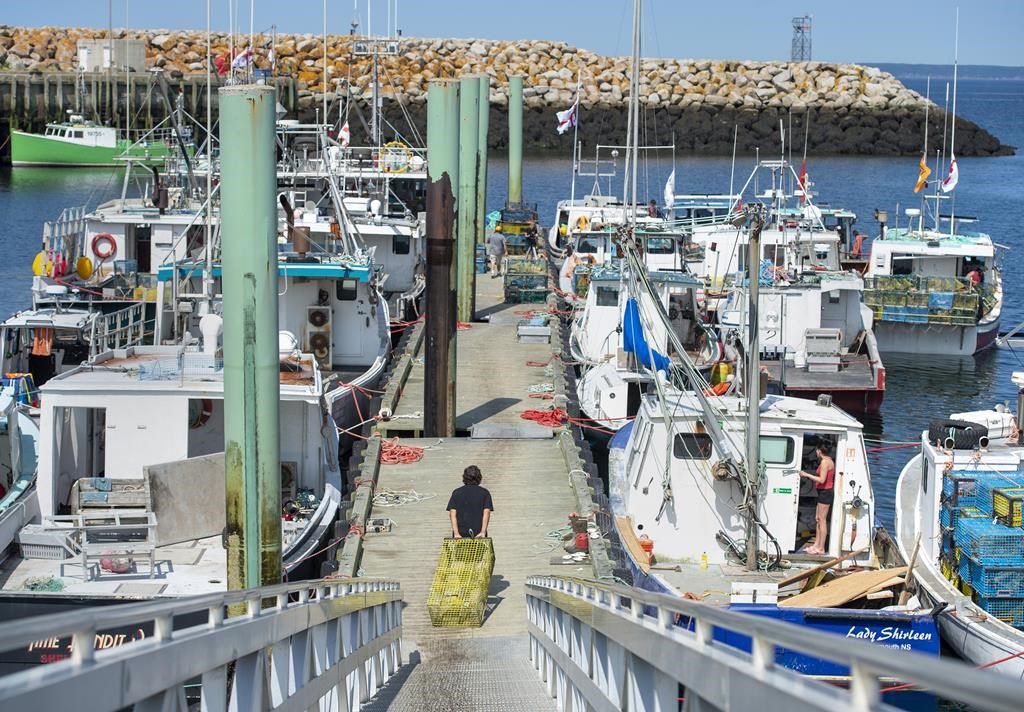 Commercial Fishers Seek $10 Million In Damages Against ‘illegal’ N.s. Lobster Buyers