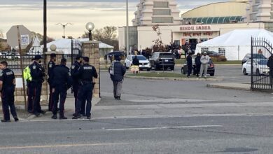 Protest Breaks Out At Hindu Temple In Brampton, Ont.