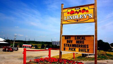 Ontario Farm Closes After 8 Generations. It’s Part Of A Growing ‘generational’ Shift