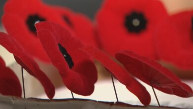 What’s Open And What’s Closed In Winnipeg On Remembrance Day