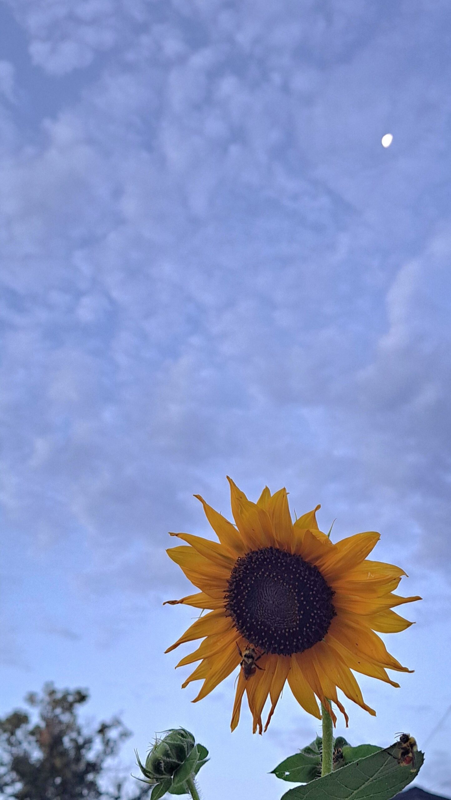 Your Saskatchewan Photo Of The Day: November 2024