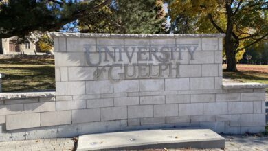 University Of Guelph And Faculty Union Avert Strike