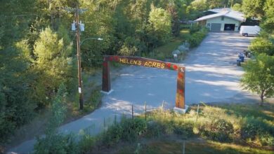 Kelowna, B.c. Farm Sees Record Harvest With Close To 44,000 Kg Of Produce