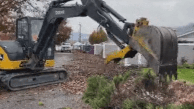 Firesmart Initiative At Vernon Strata Complex The City’s Largest Undertaken At One Time