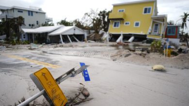 ‘a Masterclass In Climate Destruction’: Un Chief Urges Action At Cop29