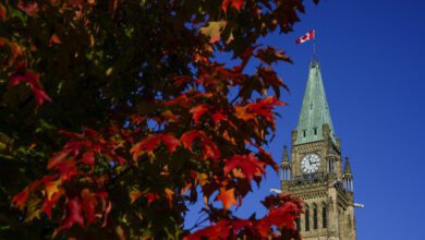 Ottawa’s ‘night Mayor’ Wants To Transform Quiet Capital Into After Dark Destination